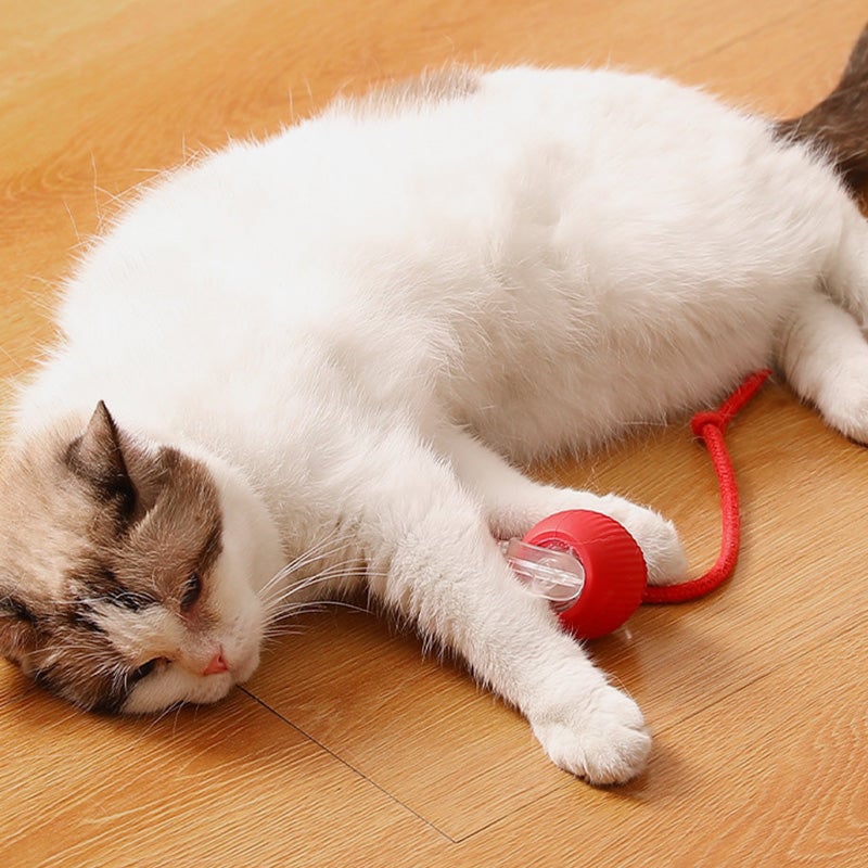 🐾 LIMITED-TIME 50% OFF! 💥 Smart Automatic Rolling Pet Ball – Obstacle Avoidance, Quick Charge, Interactive ✨