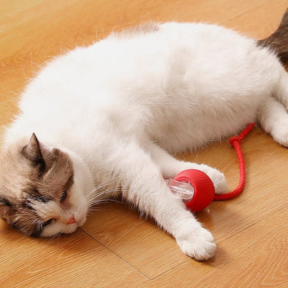 🐾 LIMITED-TIME 50% OFF! 💥 Smart Automatic Rolling Pet Ball – Obstacle Avoidance, Quick Charge, Interactive ✨