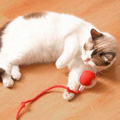 🐾 LIMITED-TIME 50% OFF! 💥 Smart Automatic Rolling Pet Ball – Obstacle Avoidance, Quick Charge, Interactive ✨
