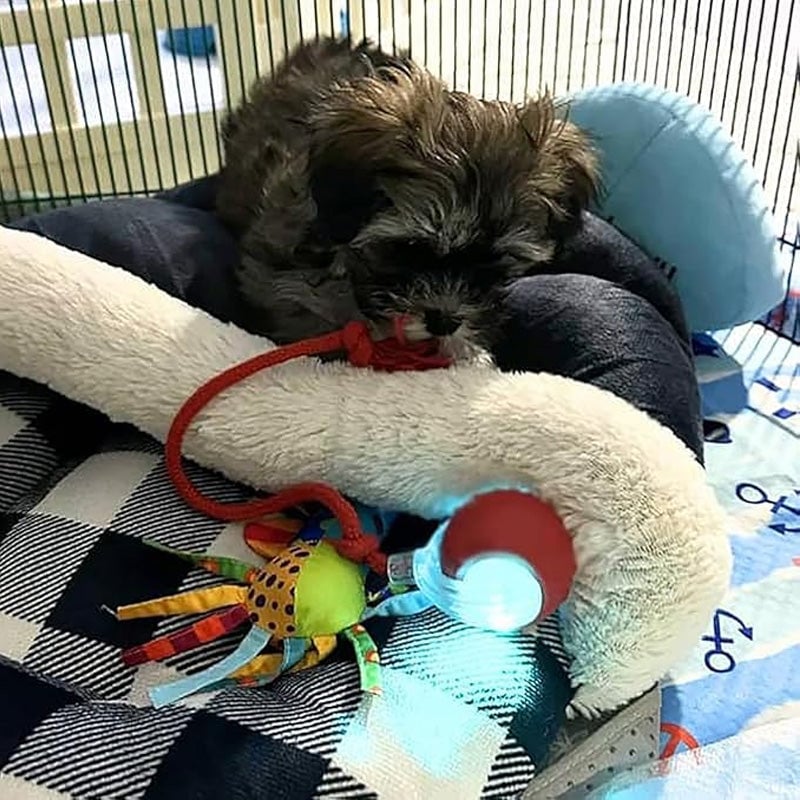 🐾 LIMITED-TIME 50% OFF! 💥 Smart Automatic Rolling Pet Ball – Obstacle Avoidance, Quick Charge, Interactive ✨