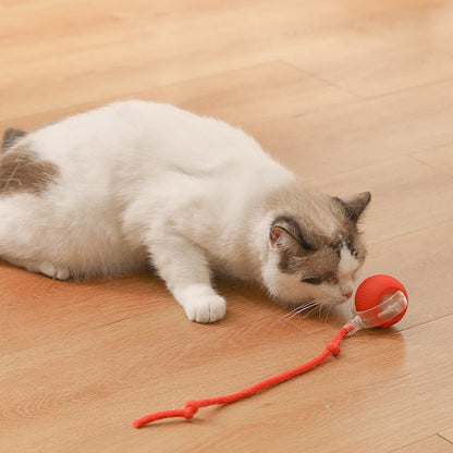 🐾 LIMITED-TIME 50% OFF! 💥 Smart Automatic Rolling Pet Ball – Obstacle Avoidance, Quick Charge, Interactive ✨