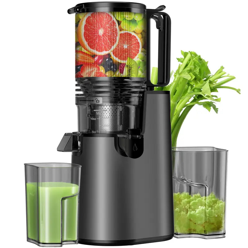 LQZ 350W Cold Press Juicer - 5.4" Wide Chute