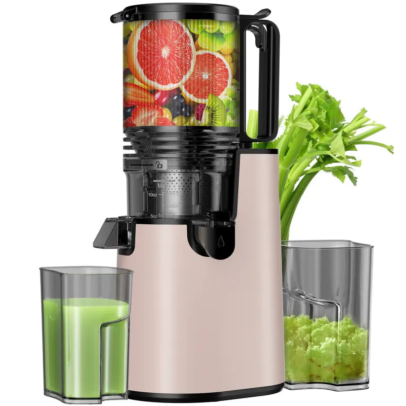 LQZ 350W Cold Press Juicer - 5.4" Wide Chute