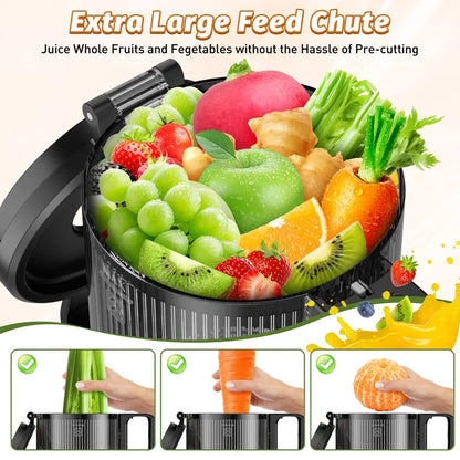 LQZ 350W Cold Press Juicer - 5.4" Wide Chute