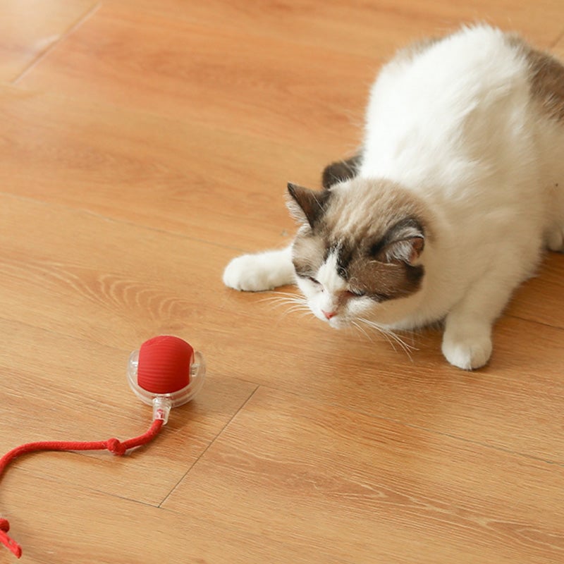 🐾 LIMITED-TIME 50% OFF! 💥 Smart Automatic Rolling Pet Ball – Obstacle Avoidance, Quick Charge, Interactive ✨