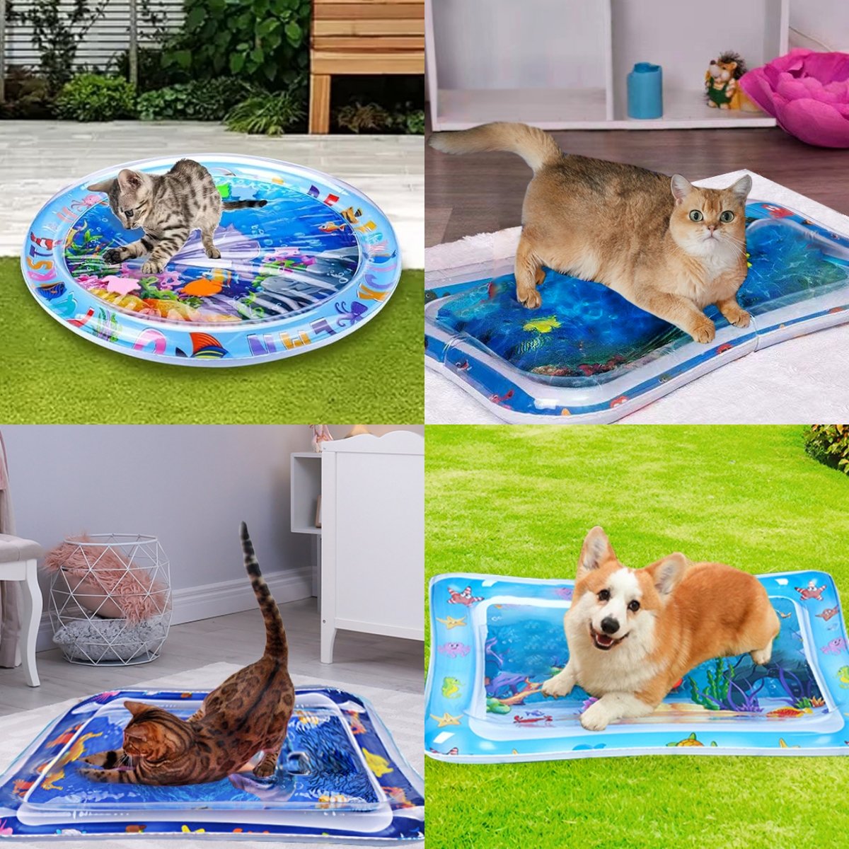 🐱 Unleash the Fun for Indoor Cats – 50% OFF ✨ Pet Water Sensory Mat – For Playful Hunting & Cooling Relief! 🐟