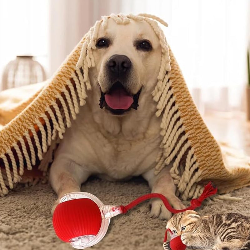 🐾 LIMITED-TIME 50% OFF! 💥 Smart Automatic Rolling Pet Ball – Obstacle Avoidance, Quick Charge, Interactive ✨