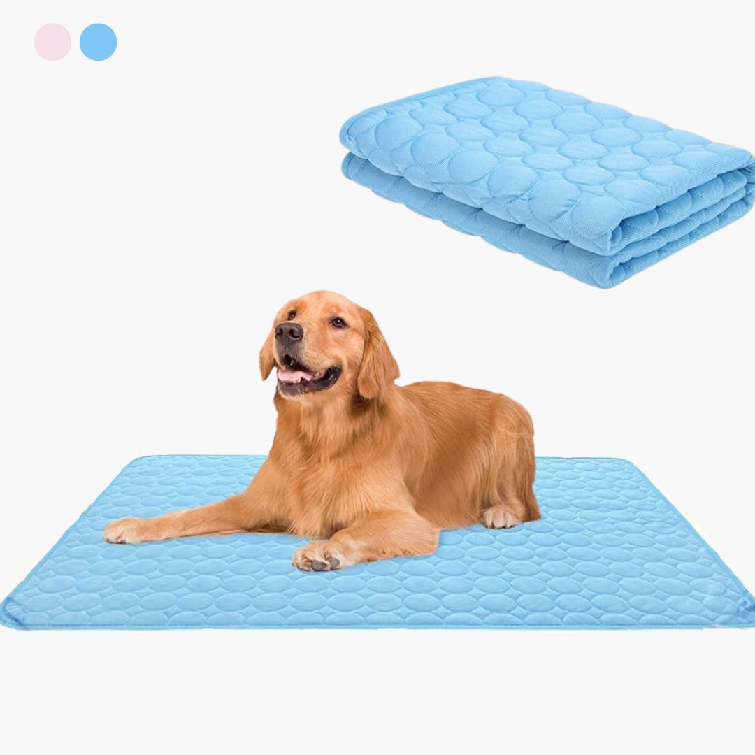 🏆 Last Day Special Price £7.99!🧊Premium Cooling Mat For Pet– UK Ready!