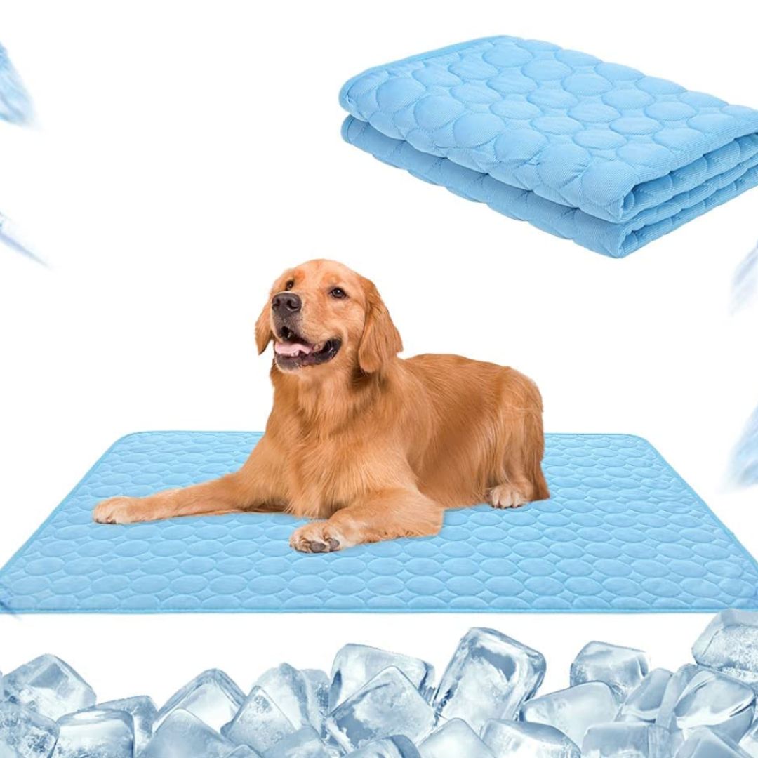 🏆 Last Day Special Price £7.99!🧊Premium Cooling Mat For Pet– UK Ready!