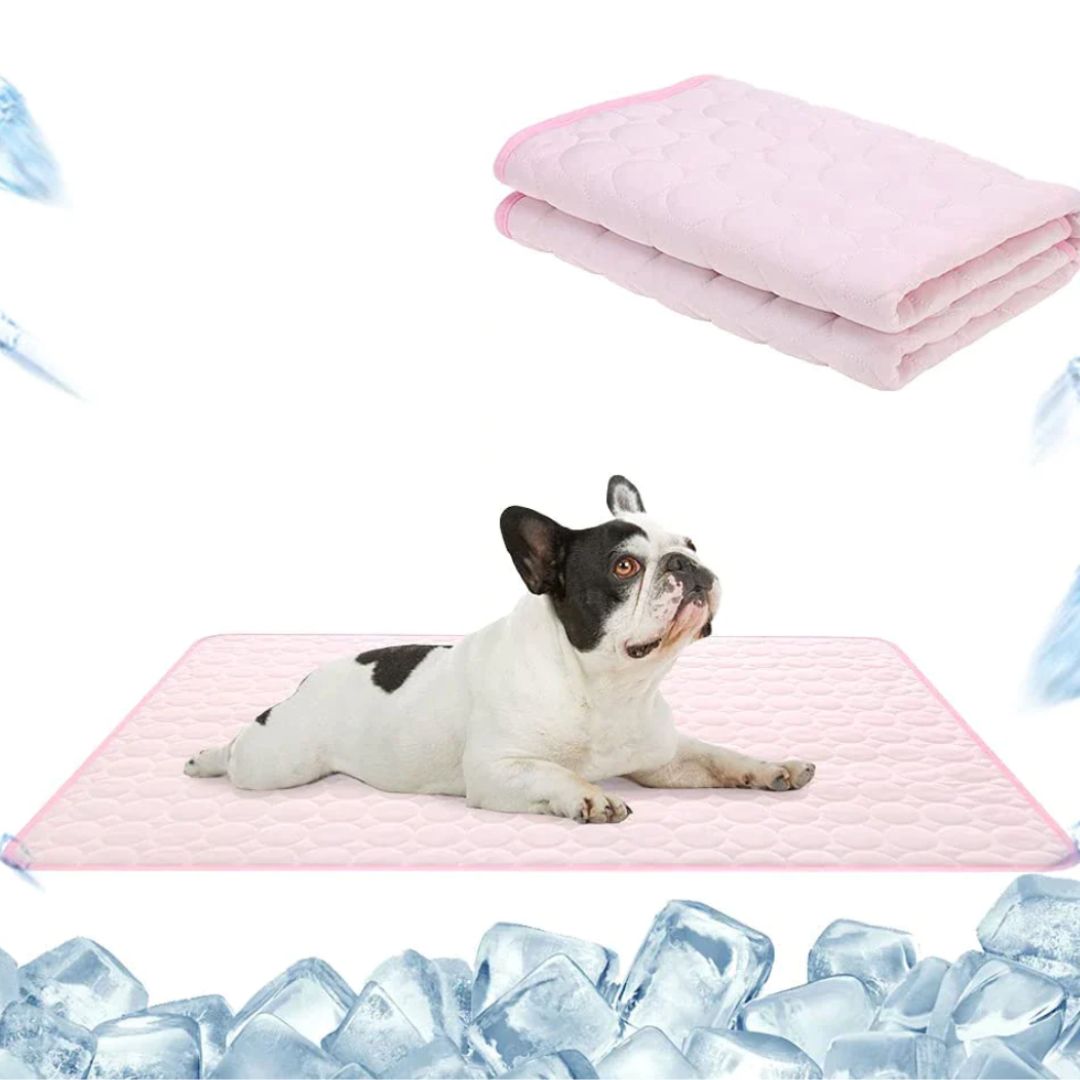 🏆 Last Day Special Price £7.99!🧊Premium Cooling Mat For Pet– UK Ready!