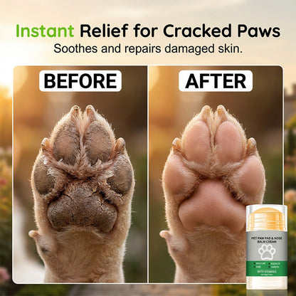 🎁Buy 1 Get 1 Free!🐶 Moisturizing Paw Balm—Keeps your dog's paws soft and smooth; easy to use.