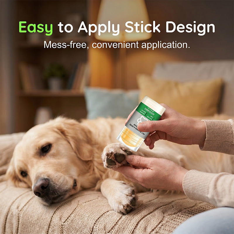🎁Buy 1 Get 1 Free!🐶 Moisturizing Paw Balm—Keeps your dog's paws soft and smooth; easy to use.