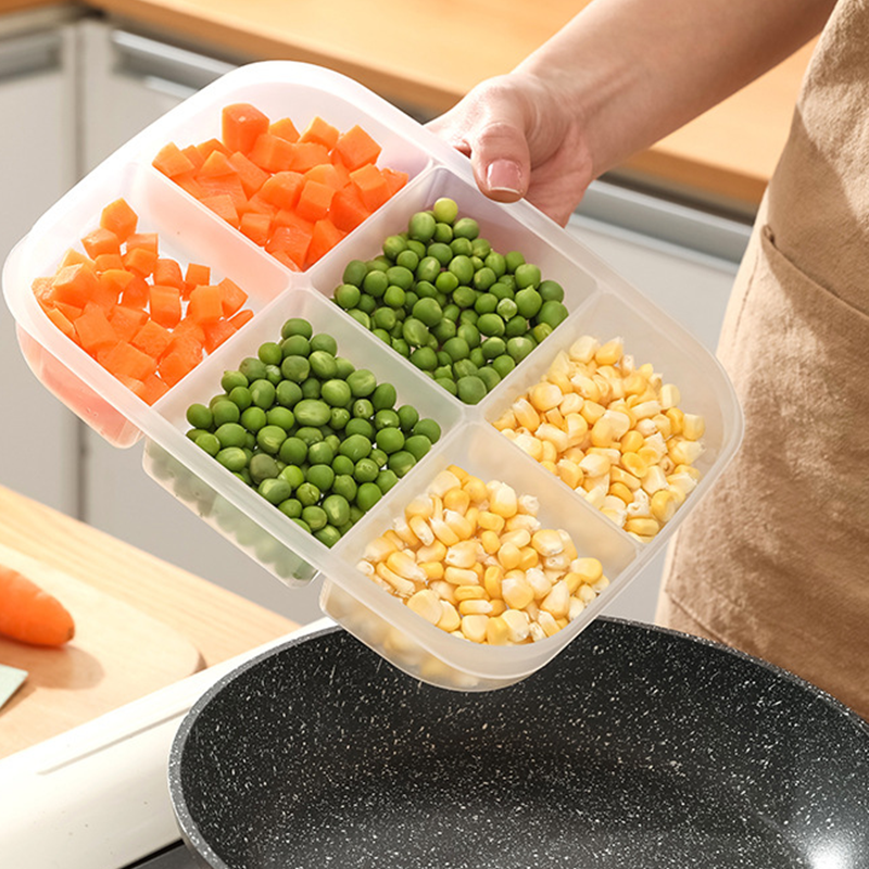 Multi-Section Food Storage Container with Lid
